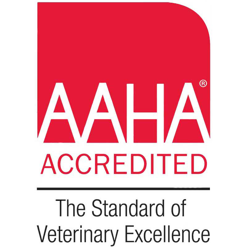 AAHA Accredited Veterinarian